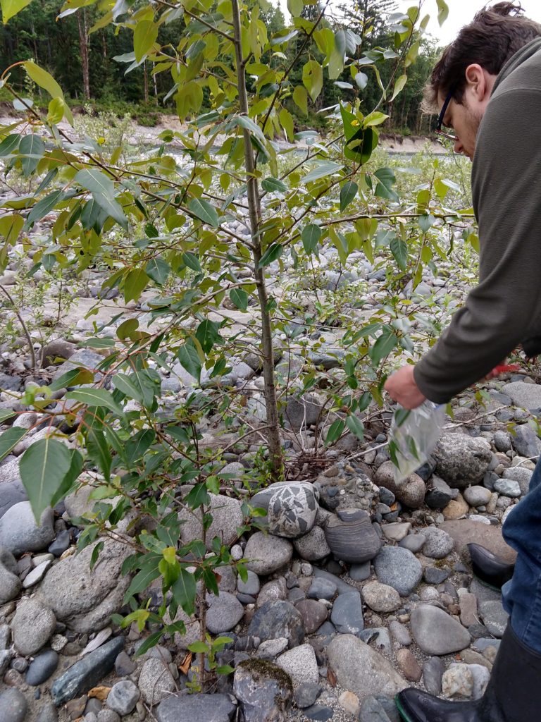 Andrew Sher collecting samples
