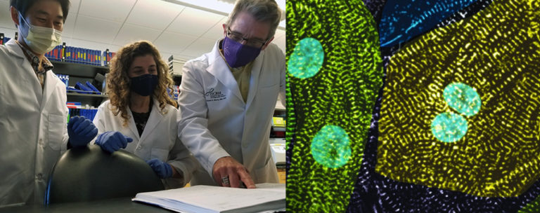 UW Institute for Stem Cell Regen Med lab