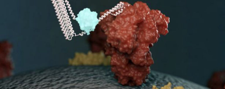 Monod's illustration of a biosensor glowing (light blue) after detecting its target (a coronavirus protein, red)