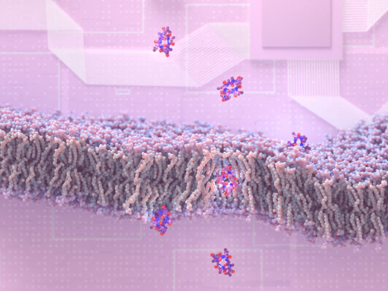 peptides