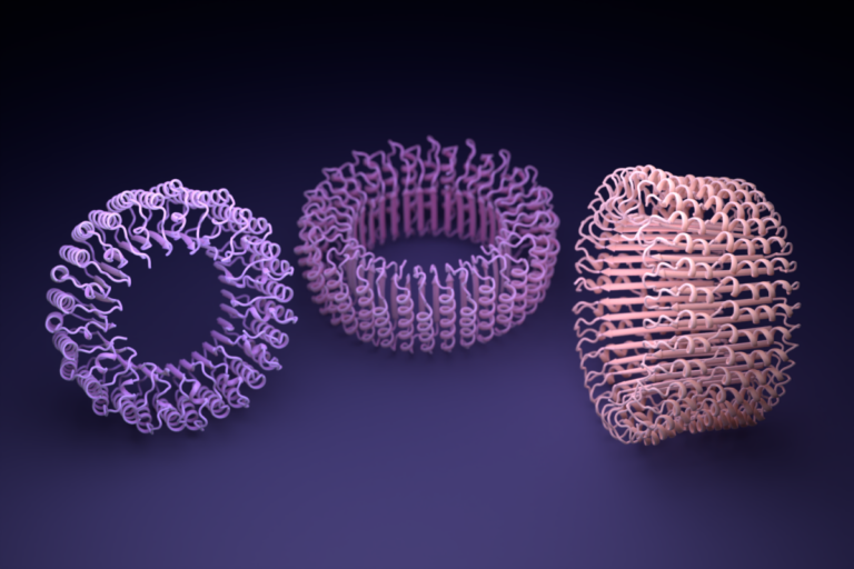 IPD Hallucinated Rings