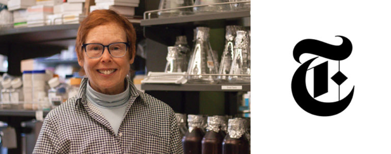Dr. Mary L. Disis, director of the Cancer Vaccine Institute at the University of Washington.