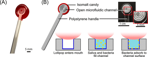 illustration of diagnostic lollipop and saliva collection process