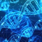 dna image