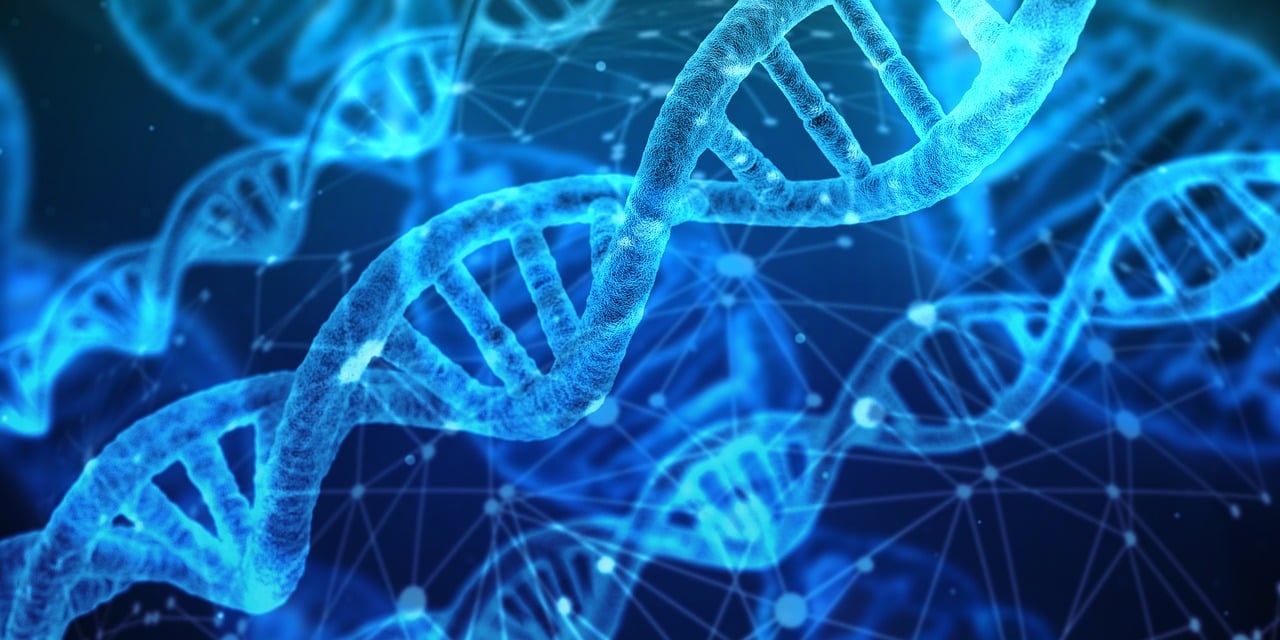 dna image