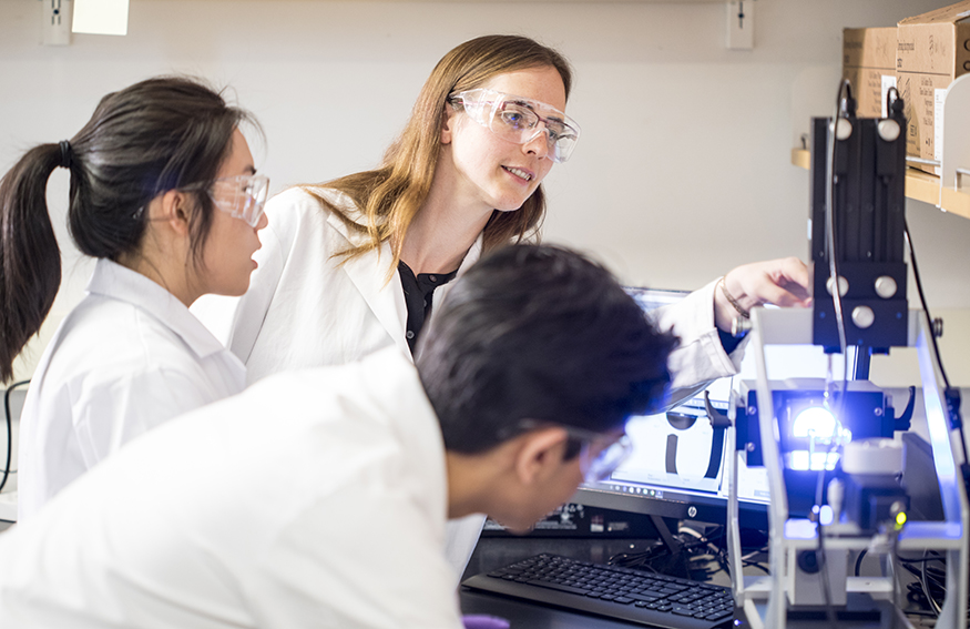 Theberge Lab
