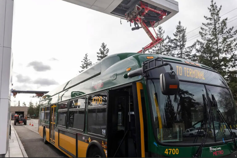bus