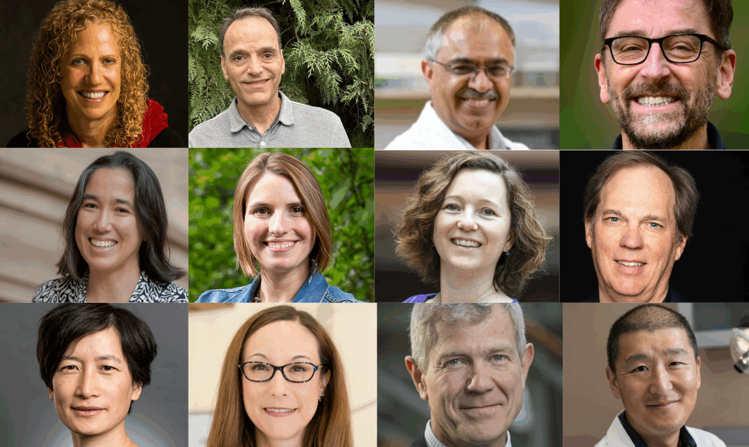 12 UW professors