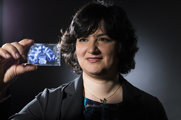 Azadeh Yazdan with slide