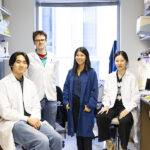 Undergraduate Martin Liu, staff scientist Jeffrey Carey, Assistant Professor Feini (Sylvia) Qu and Ph.D. candidate Runrun Chen.