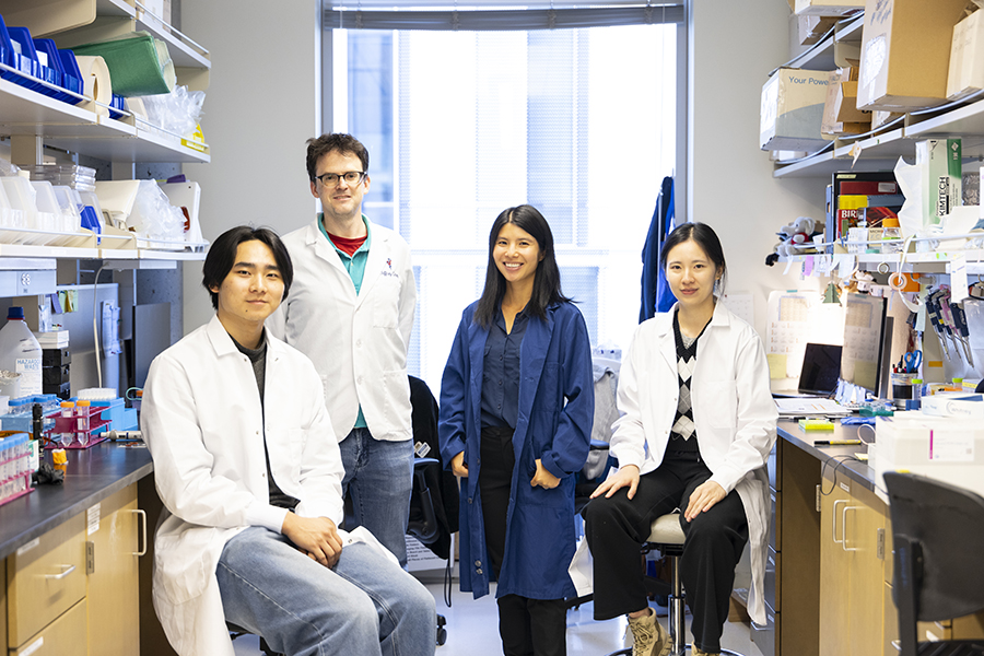 Undergraduate Martin Liu, staff scientist Jeffrey Carey, Assistant Professor Feini (Sylvia) Qu and Ph.D. candidate Runrun Chen.