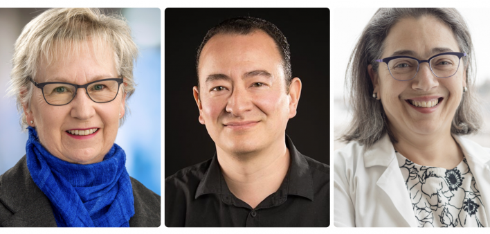 three researchers headshots