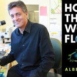 Albert Foch and new book cover "How the World Flows"