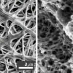 comparison of images where nn the left is a scanning electron microscope (SEM) image of naturally occurring spider silk, and on the right is an SEM image of an engineered plastic material with a similar structure