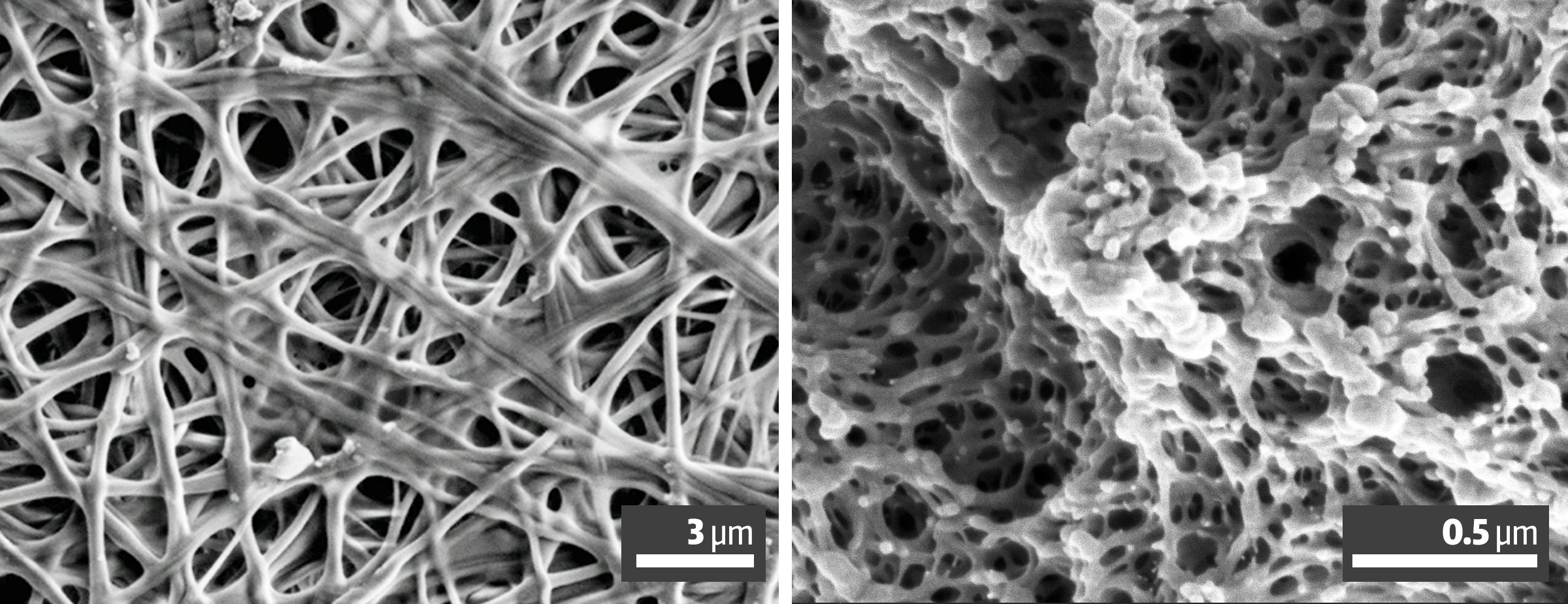 comparison of images where nn the left is a scanning electron microscope (SEM) image of naturally occurring spider silk, and on the right is an SEM image of an engineered plastic material with a similar structure