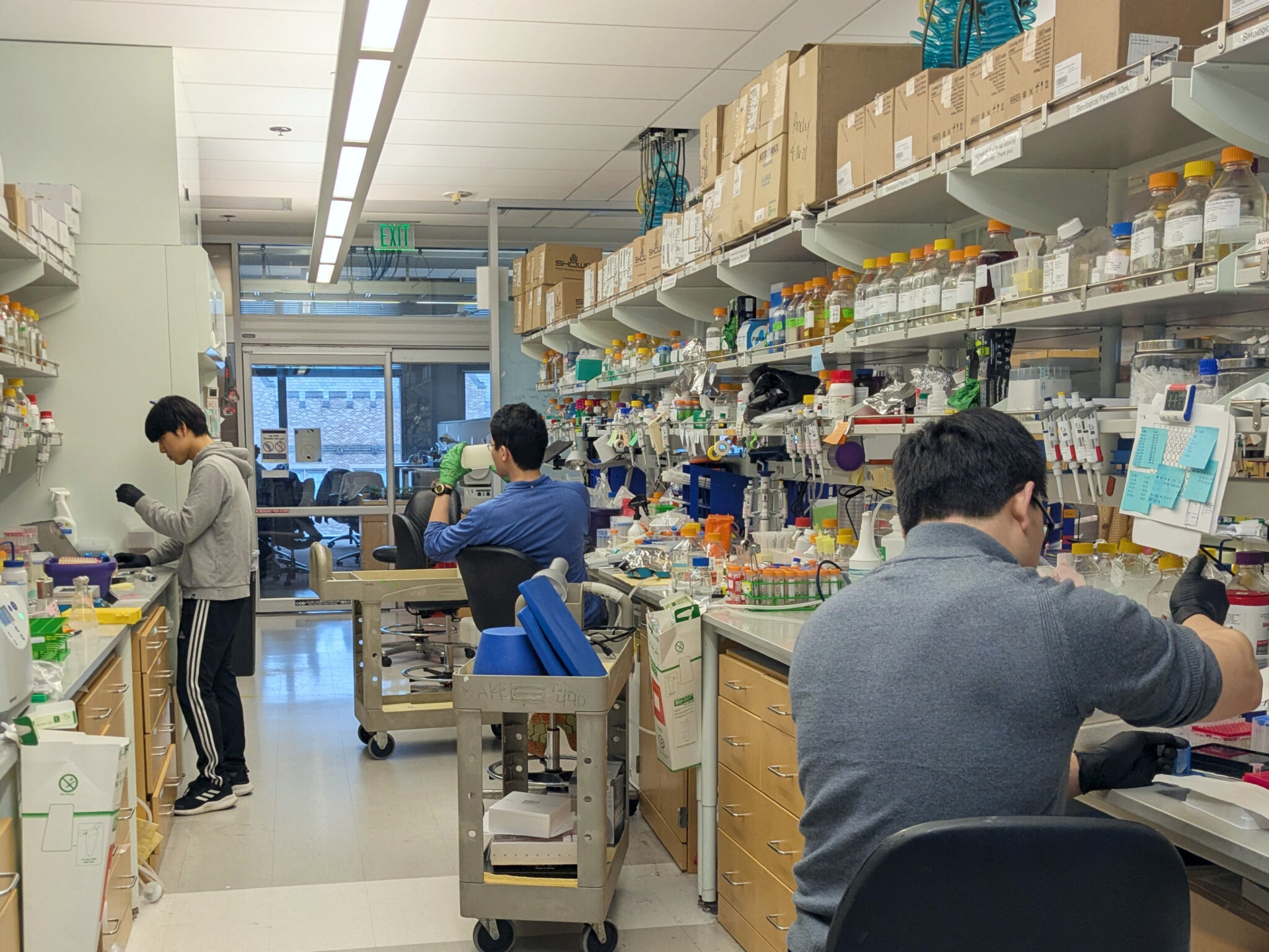 scientists in lab