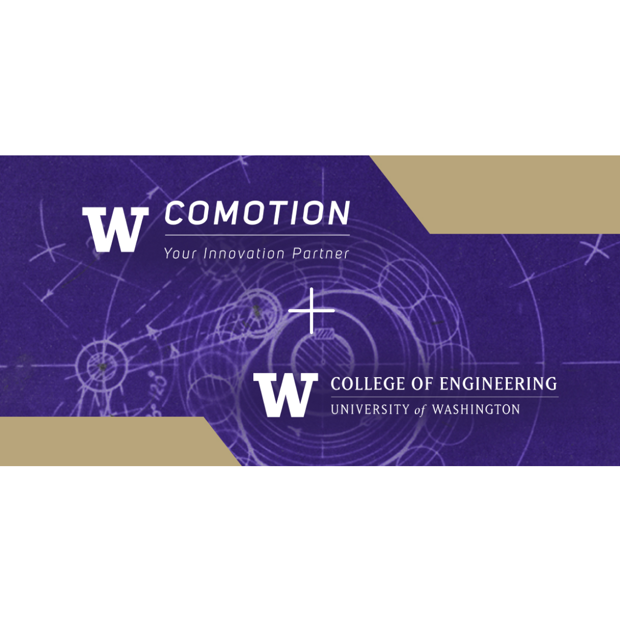 College of Engineering retrospective