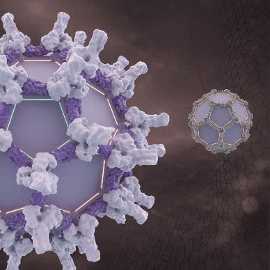 A computer-designed protein that forms a cage-like structure of pentagons and hexagons