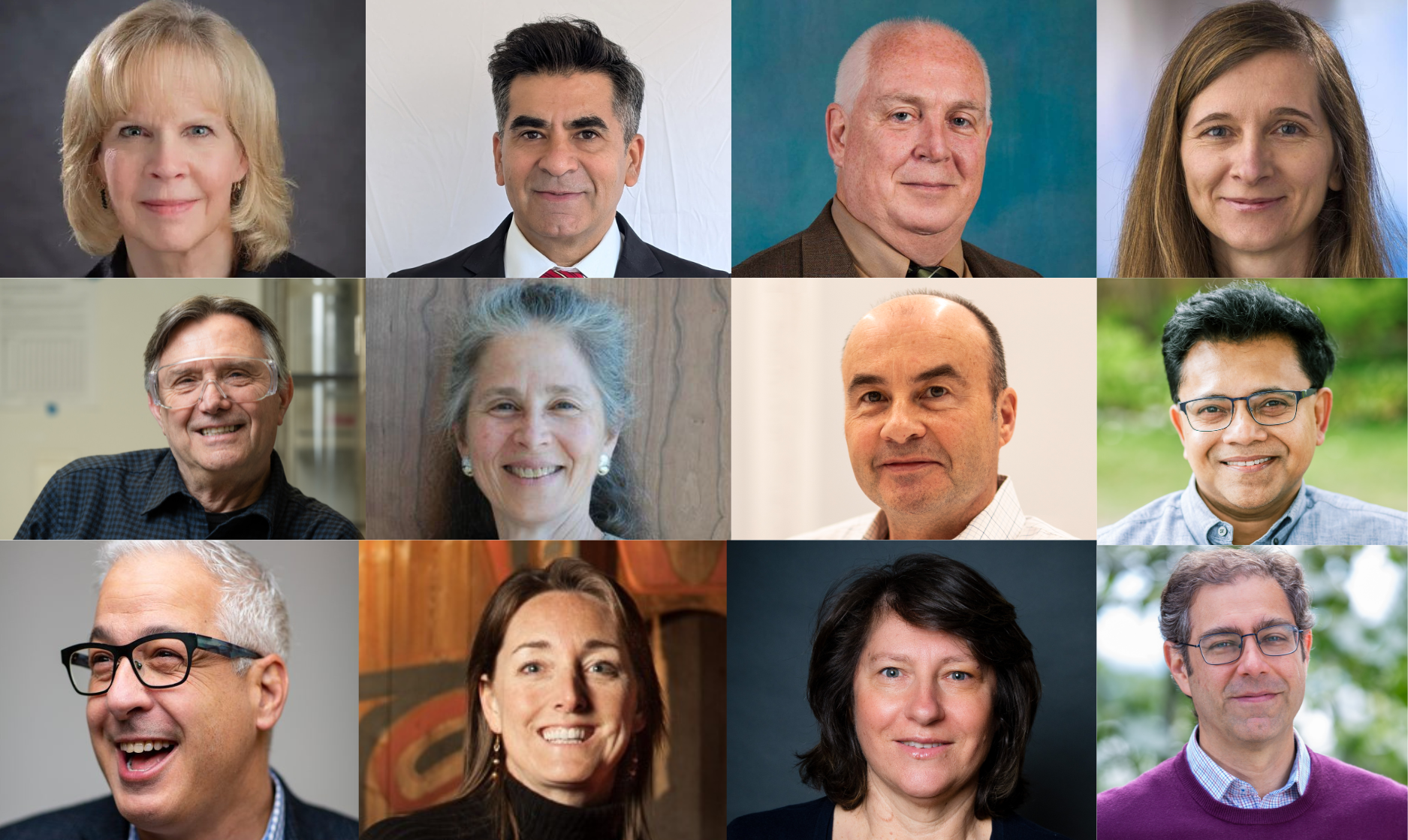 12 UW profs headshots that were elected to WSAS
